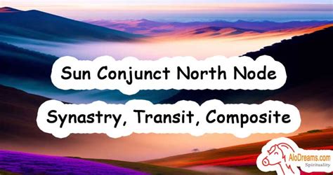 Sun Conjunct North Node (Opposite South Node) If you have the Sun conjunct North Node aspect in your natal chart, you also have Sun opposition South Node, because the Nodes always sit exactly opposite each other. . Sun conjunct north node composite